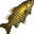 Gold Carp icon.png