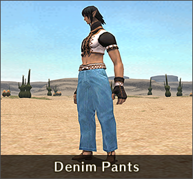 Denim Pants Appearance.png