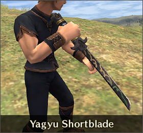 Yagyu Shortblade Appearance.png