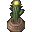 Amigo Cactus icon.png