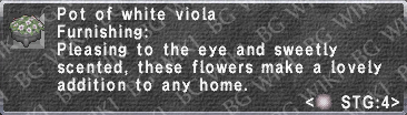 White Viola Pot description.png