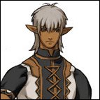 Elvaan Icon.png