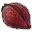 Rolanberry 874 icon.png