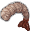 Peeled Crayfish icon.png