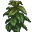 Void Grass icon.png