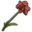 Amaryllis icon.png