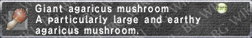 Giant Agaricus description.png