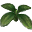 4Leaf Mandra Bud icon.png