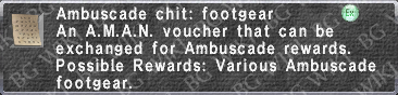 A. Chit- Foot description.png