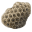 Beehive Chip icon.png