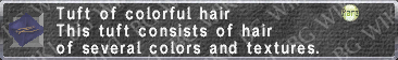 Colorful Hair description.png