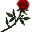 Red Rose icon.png